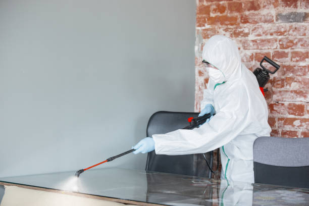 Mold Remediation for Rental Properties in Banks, OR